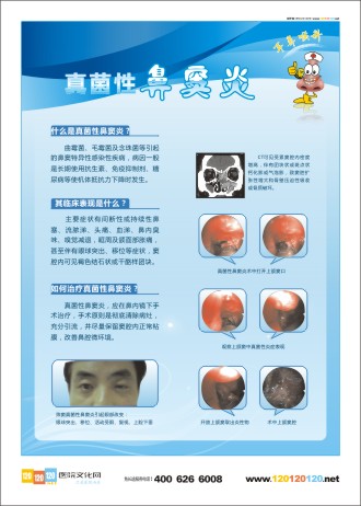 耳鼻喉科宣傳 耳鼻喉科宣傳資料 五官科宣傳欄 耳鼻喉科標語 真菌性鼻竇炎