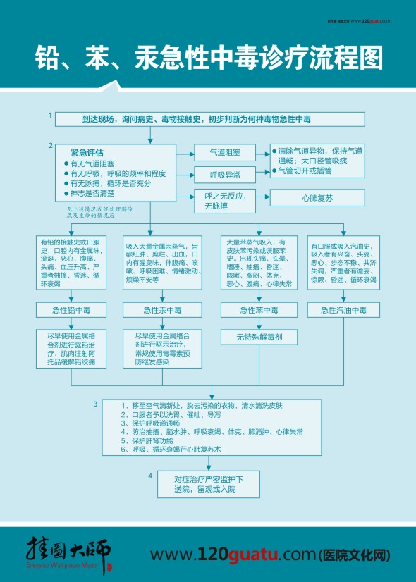 鉛、笨、汞急性中毒診療流程圖 醫(yī)院急救流程