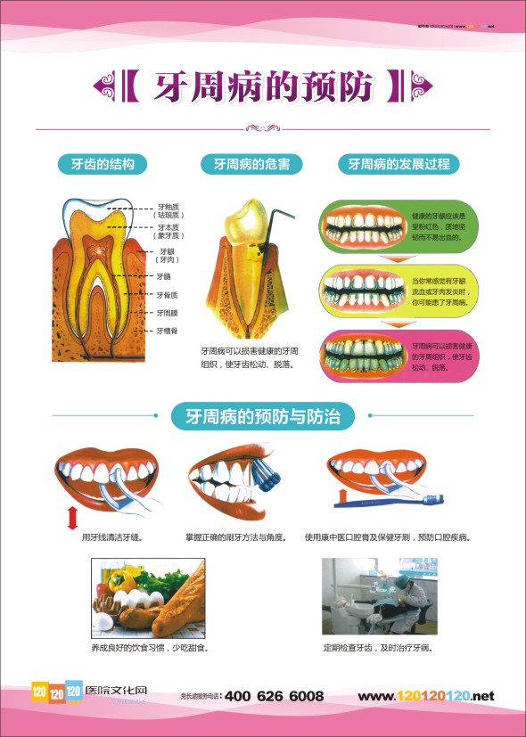 口腔科圖片 牙科診室圖片 口腔科掛圖-牙周病的預(yù)防