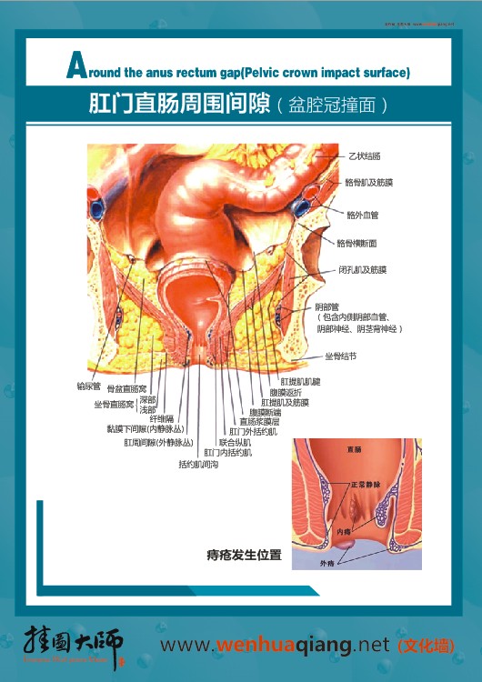 肛門(mén)直腸周?chē)g隙（盆腔灌裝面）