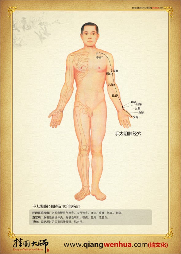 手太陰肺經(jīng)穴位圖 中醫(yī)人體穴位圖